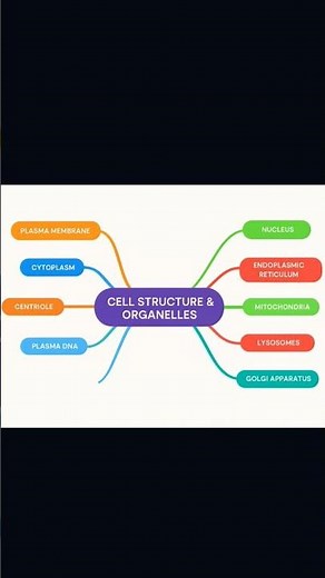 Cell Structure & Organelles✨️ #mindmap #animalcell #exampreparation #biology #biologynotes #educatio