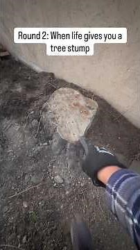 Digging out a tree stump, again #diy #tree #gardening #treestump