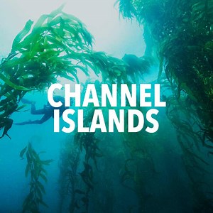 13 SURPRISING Channel Islands National Park Facts (Guide)