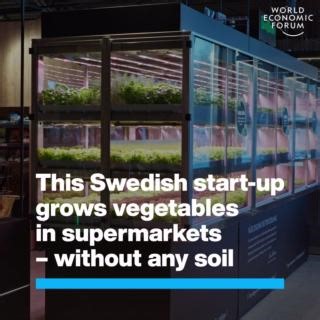 341K views · 4.9K reactions | Some of SweGreen’s compact farms can grow as much as 15,000 vegetables monthly. The World Economic Forum has published a white paper, Mainstreaming Food Innovation: A Roadmap for Stakeholders, which outlines a framework to source, shape and scale the developments transforming our food system. Find out more here: https://ow.ly/wnvv50TYaUz #Hydroponics #Farming #Sustainability | World Economic Forum | Facebook