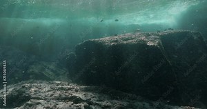Dark ocean view of fish swimming around a huge rock at shallow depth.