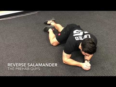 Core strength: Reverse Salamander