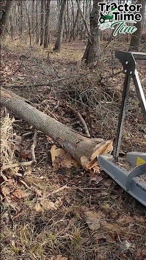 Tree Saw! No Chainsaw Needed
