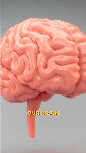 Why Your Brain Fights Change (And How to Break the Cycle)