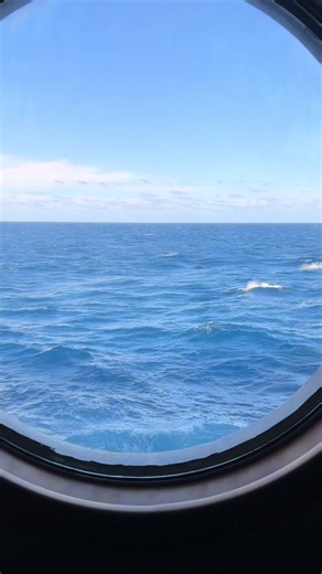 Dan George (@dann.george)’s videos with original sound - scrubber.ae