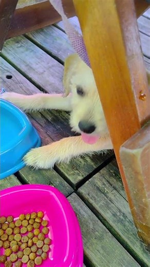 3 de janeiro de 2026