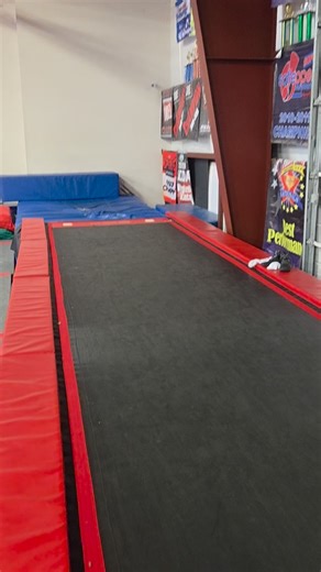 NEW SKILL ALERT Allie got her arabian AND step out to roundoff connection❤️ | Jeanine Edwards | Facebook