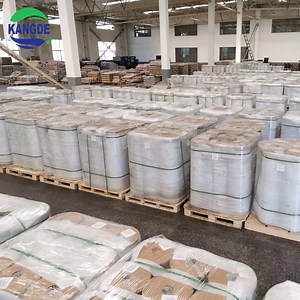 [Hot Item] Advanced Metallized Packaging Film for Enhanced Food Preservation Techniques