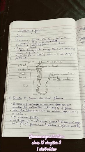 HUMAN REPRODUCTION Class 12 chapter 2. 1 shot video