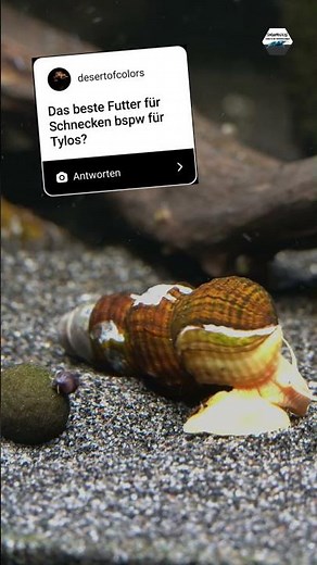 Das Beste Futter für Tylos!