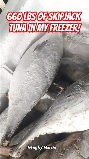 Check Out My 660 lbs Skipjack Tuna from the Fish Market!