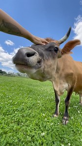 35K views · 1.6K reactions | It has been nearly 3 months since we...