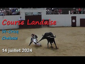 Course Landaise St Cricq Chalosse