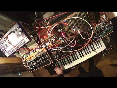 Epic cinematic build-up | analog modular dawless performance