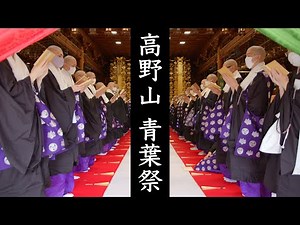 【高野山の青葉祭】お大師さまのご生誕をお祝いする高野山の風景