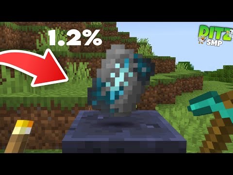 I collected all trims in DITZ SMP