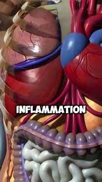 Are you eating that? That's why your stomach is getting bigger. #fitness #nutrition #advice