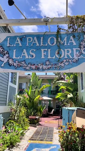 Top Accommodations on Catalina Island for a Perfect Getaway