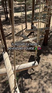 Adventure into the treetops at Flagstaff Extreme Adventure Course ✨ 甆 #FlagstaffExtreme #zipline #playinthetrees #thingstodoinflagstaff #summervibes | Flagstaff Extreme Adventure Course & Adventure Zips | Facebook