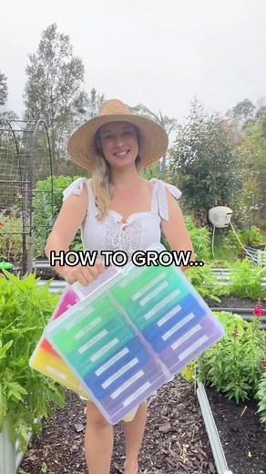 Growing Watermelons: A Guide for Beginners