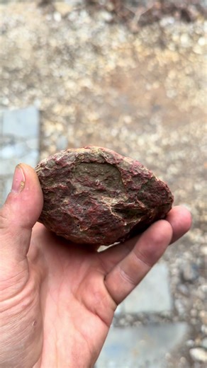 Exploring Stunning Kentucky Agate Finds