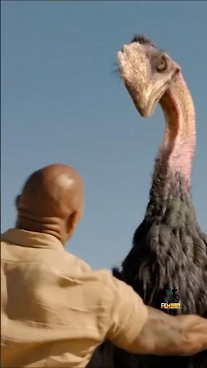 The Rock Funny Bird Scene - Jumanji
