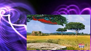 Little Einsteins S02E25 Animal Snack Time