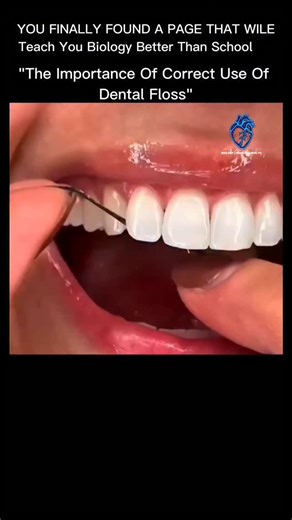 BIOLOGY | MEDICAL | HEALTH | The correct use of dental floss is not just about clean teeth — it is about protecting your entire body. Brushing alone cannot remove food... | Instagram