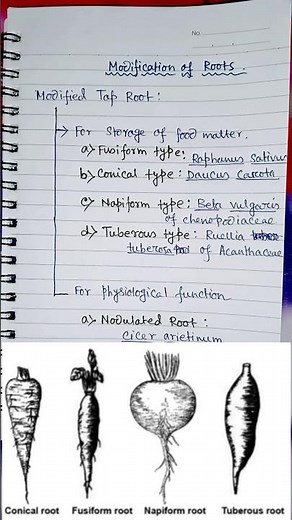 Modified Root | Adaptations of Plants | #BioExplorer #biology