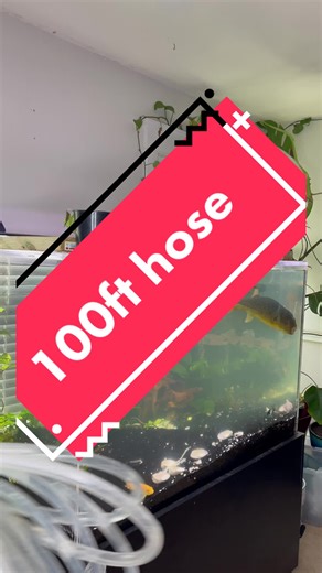 Efficace Siphon pour Changer l'Eau en Aquarium