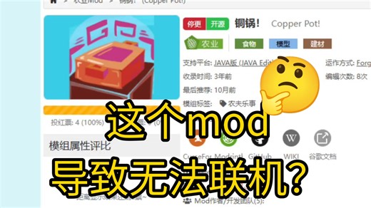 【Minecraft Java版】一个平平无奇的mod导致无法联机