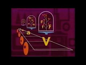 PBS Kids Bumper - Reading Is Fun (WMFE 2000)