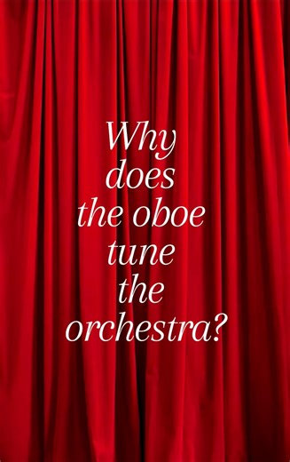 Why the Oboe Tunes the Orchestra 🎶 | Orchestra Secret