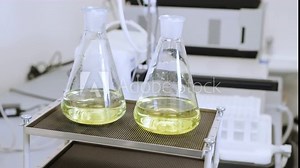 Samples shaking on the laboratory shaker, preparing them for further analysis in the laboratory.