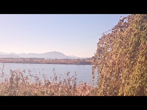 Рыбалка в корее в сильный ветер, ждём поклевку и показываю Корею