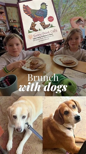 We Found the Perfect Dog-Friendly Brunch Spot in West Asheville