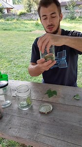 Salutare, gospodari!🤠👍 ● Experiment, cum poți să scapi de Ploșnița Verde a Tomatelor. În video-ul de mai jos, testez mai multe soluții prin care să descoperim care e cea mai bună și eficientă combinație pentru a combate acest dăunător puturos. Să îți fie cu folos!😇 O zi minunată să ai, draga gospodar!🤗 | Zona Gospodarilor