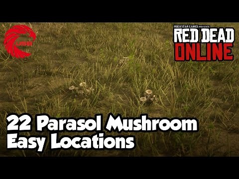 Parasol Mushroom Locations RDR2 Online - Red Dead Online Parasol Mushroom Location Guide