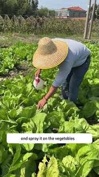 Baking soda is a treasua terragarden viral2026 reelsus! #bakingsoda#TerraBloom