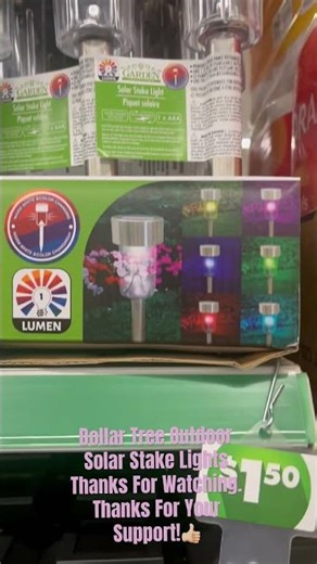 Dollar Tree Solar Stake Lights #dollartreeoutdoorlights. #dollartreeoutdoordecor #dollartreeviral