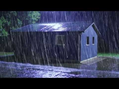 Heavy Rain Camping Ambience with Thunder | ASMR Sleep Sounds for Relaxation