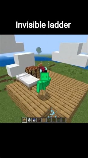 Minecraft invisible ladder