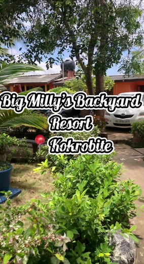 Big Milly's Backyard: Affordable Day Visits & Activities