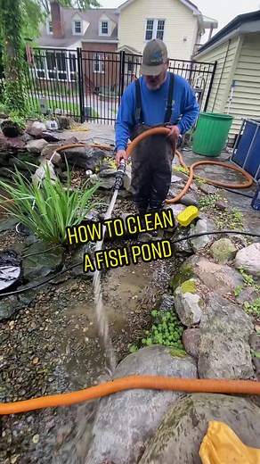 How to Clean a Backyard Fish Pond in Simple Steps