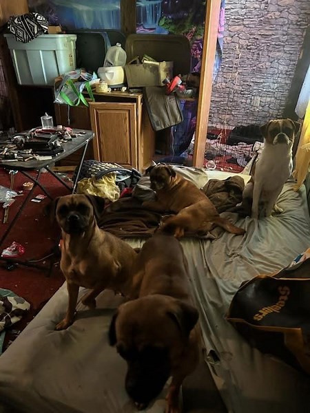 Central PA Humane Society rescues dogs from ‘heartbreaking’ conditions