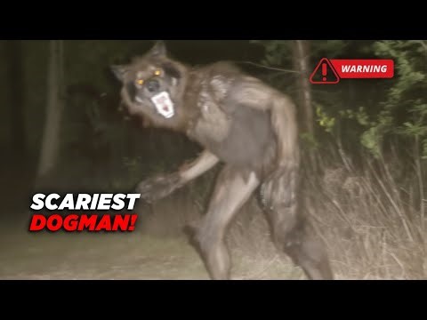 DOGMAN CAUGHT Near Campsite — The Most DISTURBING Clips Yet