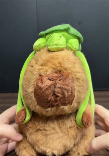 Cutest Capybara with a Turtle Backpack! #stuffedanimal #valentinesdaygift #tiktokshopholidayhaul #holidayhaul #capybara