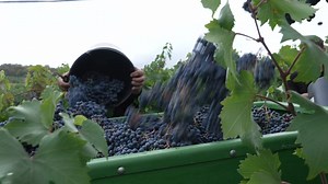 15K views · 283 reactions | First glimpse of the final part of our...