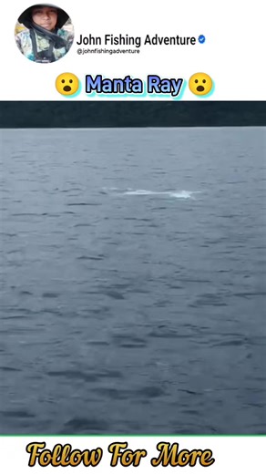 John Fishing Adventure (@johnfishingadventure)’s videos with original sound - John Fishing Adventure