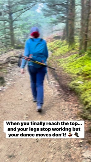Tell me why I climbed all the way up Mt. LeConte… just to break out into the most unhinged hiker dance the world has ever seen  Zero oxygen. Questionable balance. 10/10 confidence. If you hear someone wheezing-laughing on the side of the mountain? Yeah, that was me. Follow & wander with us for more chaotic outdoor moments. #mtleconte #summitdance #smokymountains #hikinglife #WanderWithUs | Wander With Us | Facebook